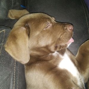 Meet your Posher, William